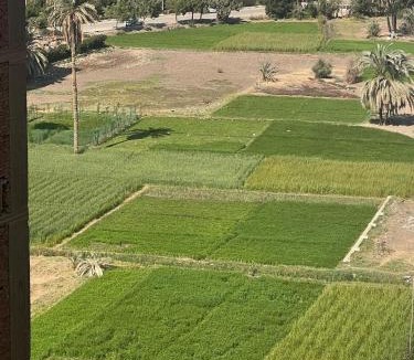 El Faiyum Apartment | Large 2 Bedrooms 4 beds full apartment suitable for Families in Fayoum Dalah