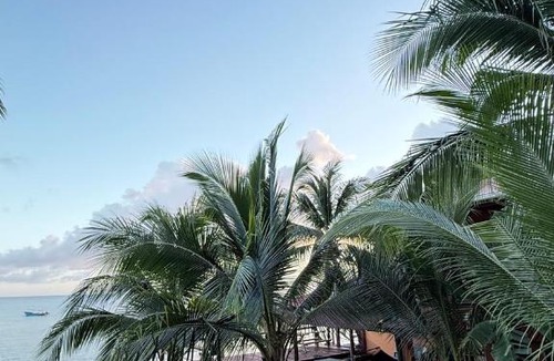 Little Corn Island Bed & Breakfast | Las Palmeras OceanView Hotel and Dive Center