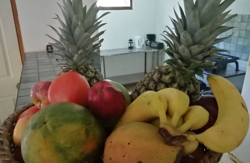 Coco House | Las Quintas Casas para Vacacionar