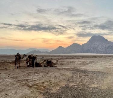 Wadi Rum Hotel | Laurana Rum Luxury Camp