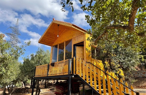 Ajloun Cottage | Live amid nature in the most beautiful Ajloun Hut