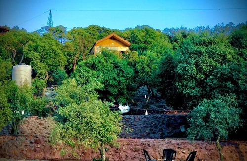 Ajloun Cottage | Live amid nature in the most beautiful Ajloun Hut