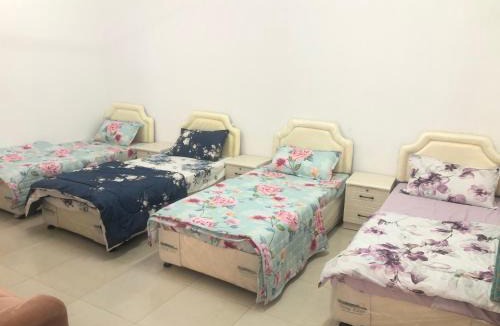 Masirah House | Masirah oyster