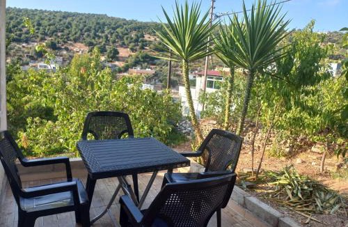 Ajloun House | Mhna guest house بيت الضيافة الريفي