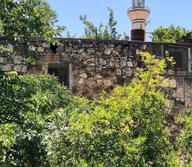 Ajloun House | Mhna guest house بيت الضيافة الريفي
