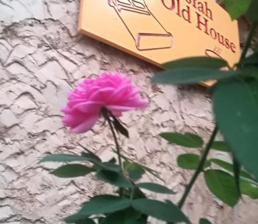 Al Hamra House | Misfah Old House