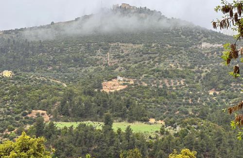 Ajloun House | Mona chalet