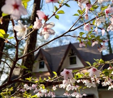 Narusawa Ski Chalet | Mountain chalet getaway at Fuji-Sanroku 富士山麓のシャレー風山荘