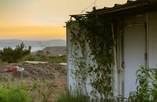Qatsrin Other | NATURA-eco farm