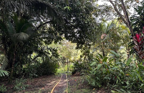 Puerto Jimenez Apartment | Nature Immersion BnB