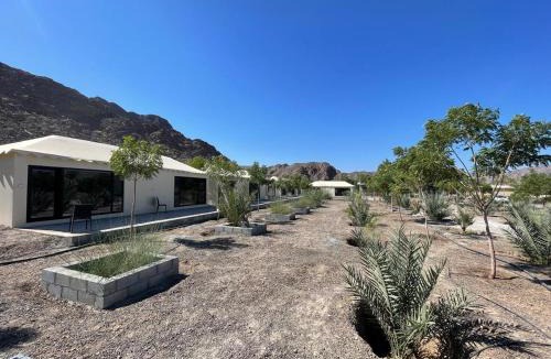 Nizwa Other | Neem camp