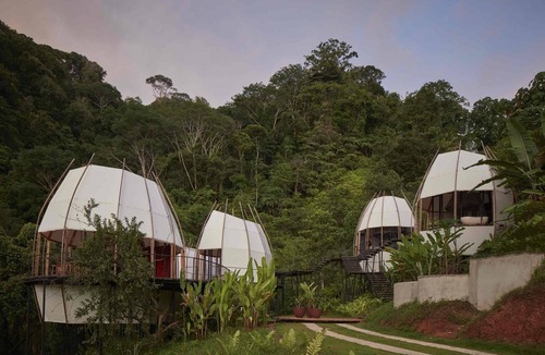 Dominical Cabin | NEW CoCo cabin 2, exclusive retreat at Art Villas