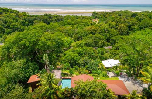 Playa Tortuga House | NEW-Gated-Panoramic sunset ocean view-pool-4 suite