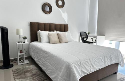 Cinco Esquinas Apartment | New Luxury Apartment Downtown San Jose