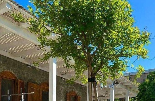 Yavne'el House | Noga Resort- resort & villa North Israel