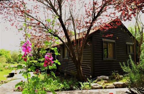Yokneam House | Numa Emek-Countryside Guesthouse in Yokneam Moshava