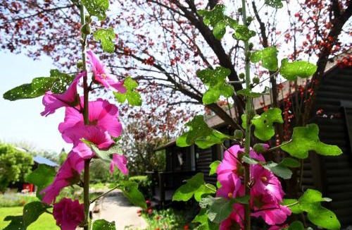 Yokneam House | Numa Emek-Countryside Guesthouse in Yokneam Moshava