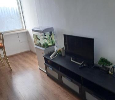 Haifa Apartment | Obtsinsky Beach