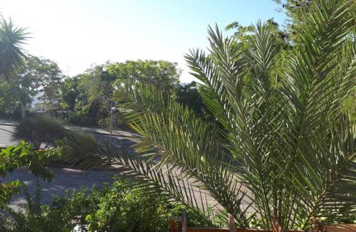 West Bank Apartment | oded Inviting housing