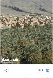 Al Hamra Bed & Breakfast | Old cluture inn