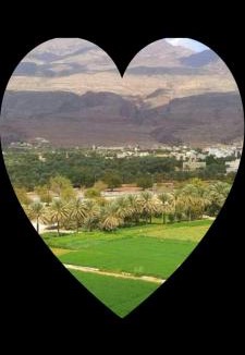 Al Hamra Bed & Breakfast | Old cluture inn