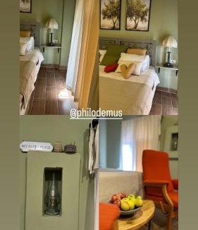 Gesher House | Olive house