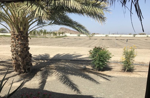 Ibra Cabin | Oman getaway: Sidr eco-cabin, close desert, mountains, forts and village