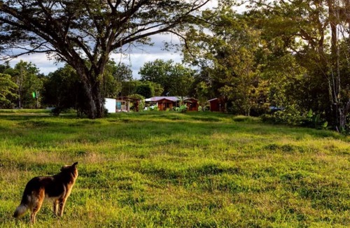 Sierpe Cabin | Oso de Osa: Luxury Nature Escape