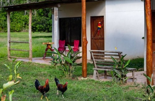 Sierpe Cabin | Oso de Osa: Luxury Nature Escape