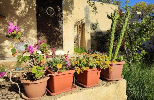 Jerash Bed & Breakfast | Our Villa's Pine Cottage - HQ Budget Stay - Wonderful horizon view of Jerash
