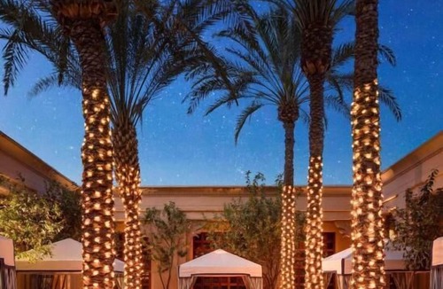 Al Sufouh 2 House | Palace Superior Deluxe King Room In Jumeirah Beach By Luxury Bookings