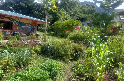 Monteverde RV Rental | Peaceful campground in Monteverde perfect for nature lovers