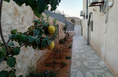 Wadi Musa Apartment | Petra Inn House