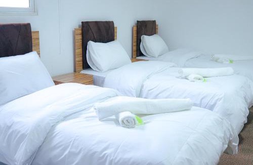 At-Taybeh Hostel | Petra Wow Hostel