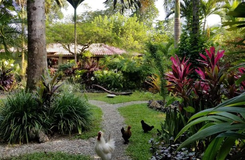 Cahuita Hotel | Piscina Natural on the Sea