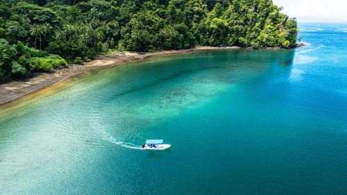 Quebrada La Gamba Hotel | Playa Cativo Lodge