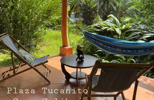 Cahuita Apartment | Plaza Tucanito - jungle up your life