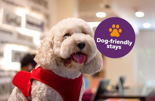 Dubai Hotel | Premier Inn Dubai Silicon Oasis - An Emirates Group Company