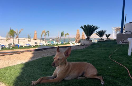 Neve Zohar Apartment | Prince of The DeadSea Crown Collection