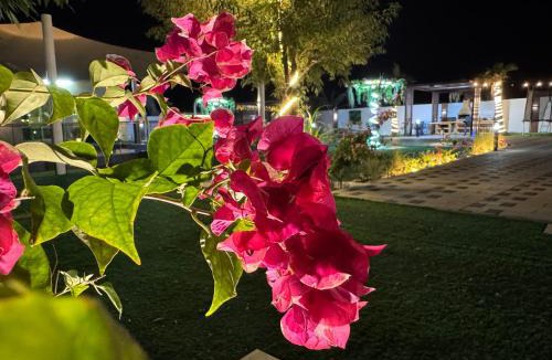 Manama House | Private farm Pool games Ras alkhaimah