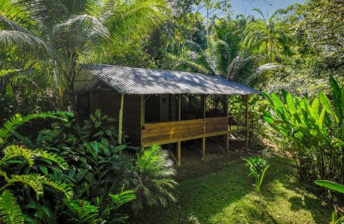 Dominical Cabin | Private jungle “Loft del Rio” river access