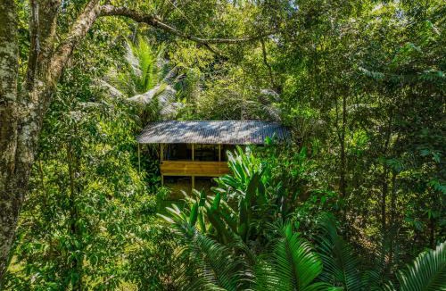 Dominical Cabin | Private jungle “Loft del Rio” river access