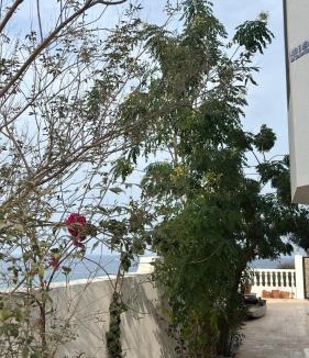Muscat House | Qantab village room