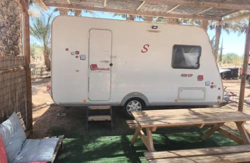 Hatseva Other | Ras Hasita