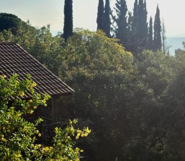 Amirim House | Roof Of The Galilee