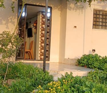 Umm Qais House | Rousan House