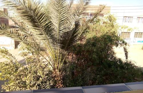 Nasr Apartment | SaYeD guest house