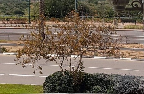 Netanya House | Sea view Luxury 5 rooms Garden apartment Natanya