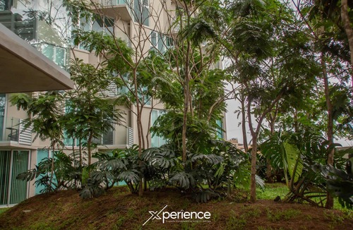 Mata Redonda Apartment | Secrt Sabana 1BR · Balcony & Natural Light · Parking · Pool & Gym · Apt 1212