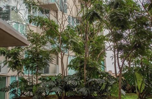 Mata Redonda Apartment | Secrt Sabana 2BR · Workspace + WiFi · Pool & Gym · Parking · Apt 1113